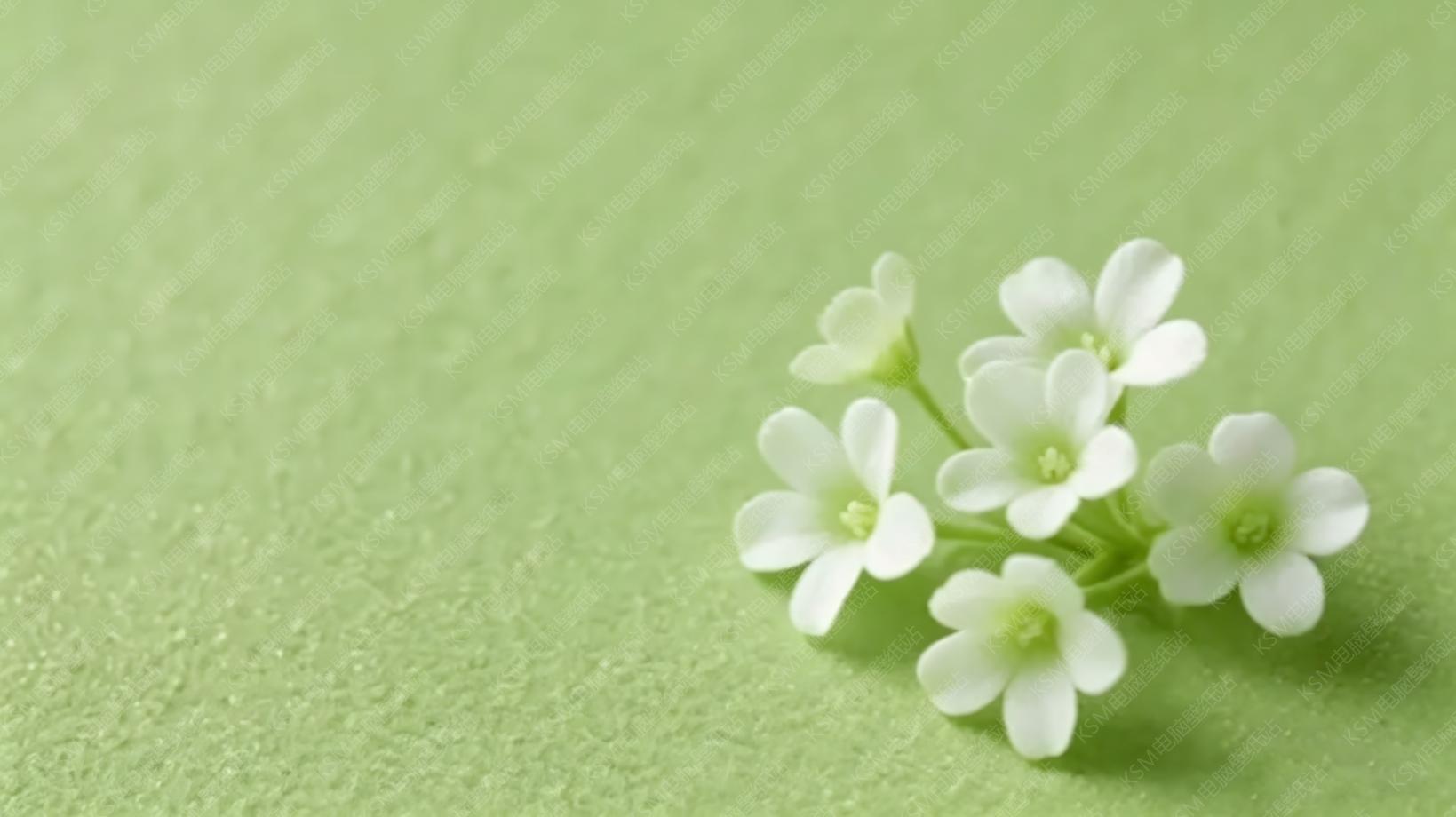绿底白花