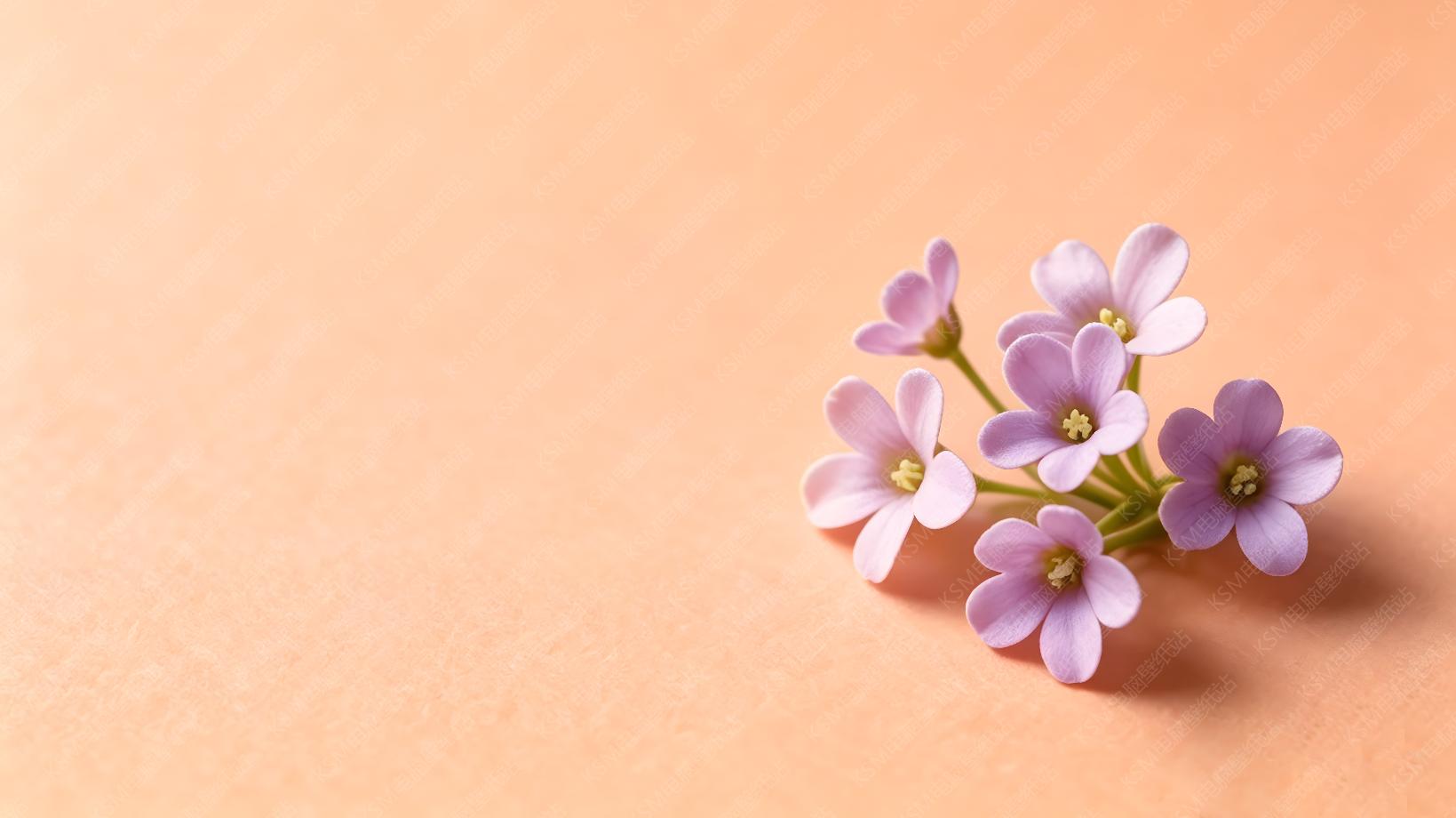 橙底紫花