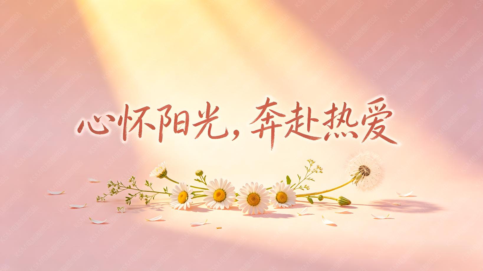 微光雏菊