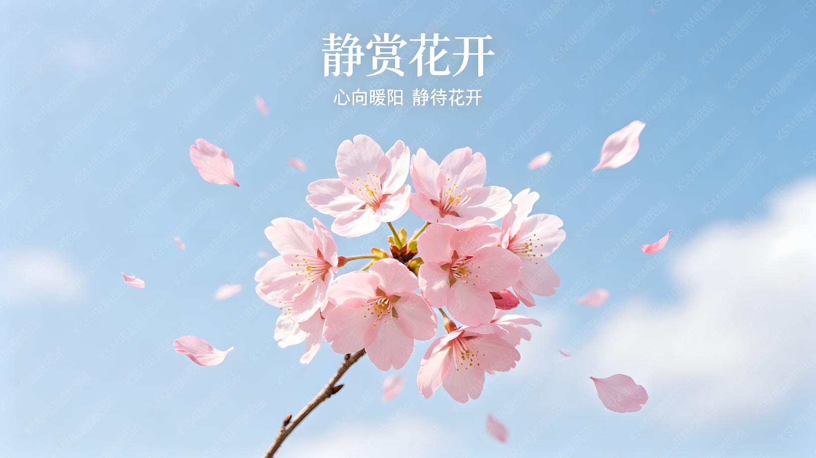 粉樱流云